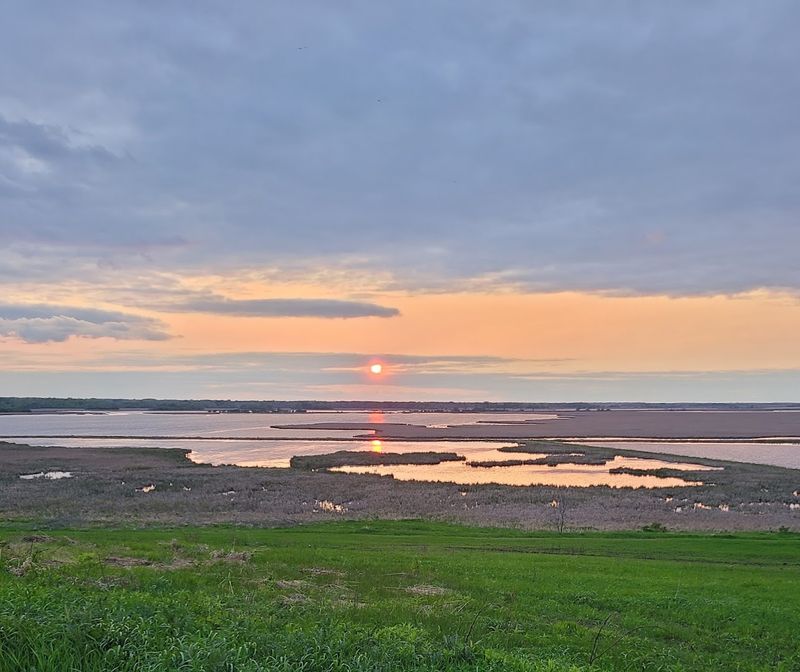 The Observation Areas Make The Marsh Feel Huge