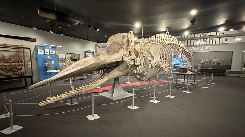 New Bedford Whaling Museum, New Bedford