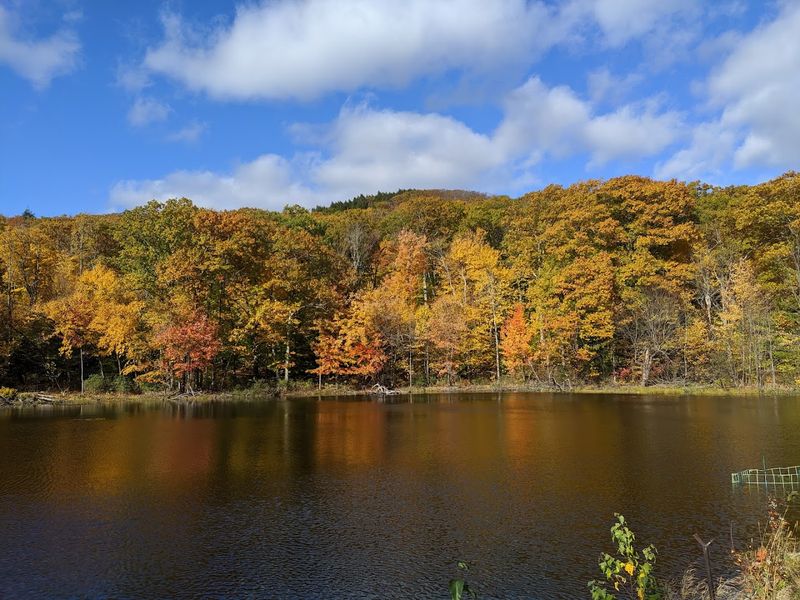 Wachusett Mountain State Reservation, Princeton