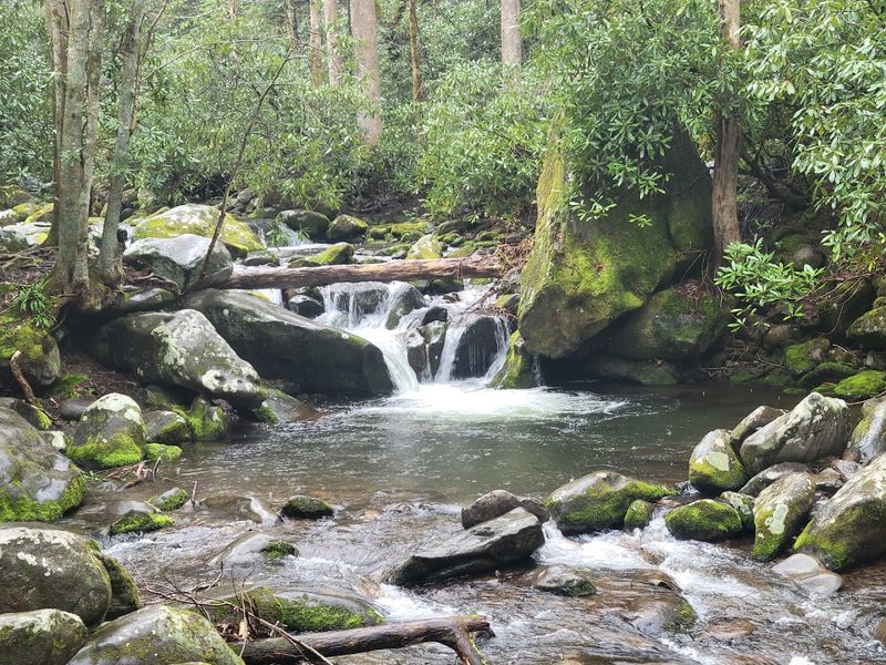 The Place Of A Thousand Drips, Gatlinburg