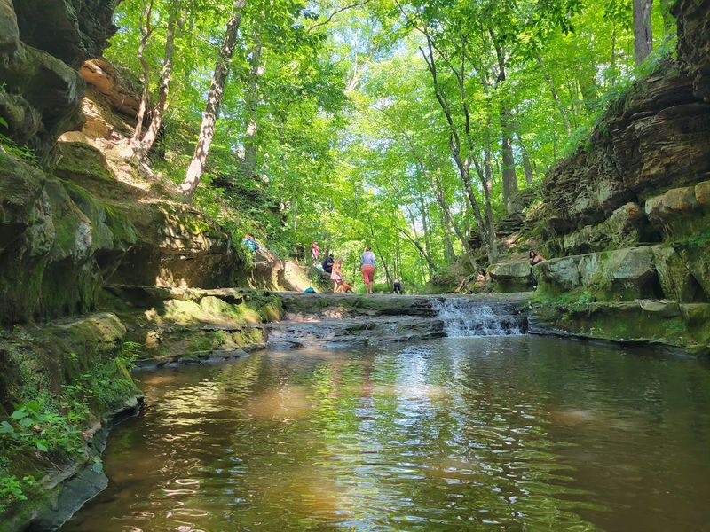 Pewit's Nest Gorge