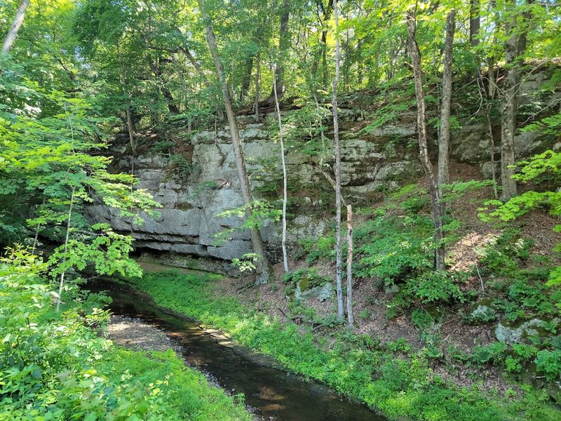 Pine Cliff Nature Trail (Baraboo)