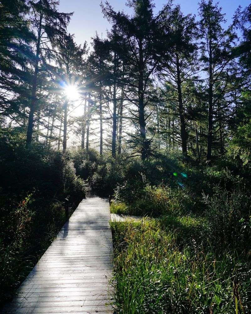 Seasonal Weather Patterns Affecting The Walk