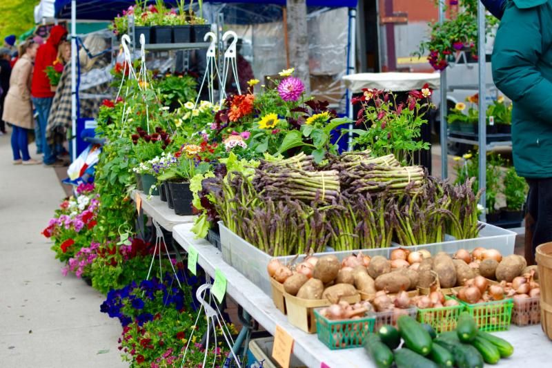 Colorful Blooms And Produce Worth Taking Home