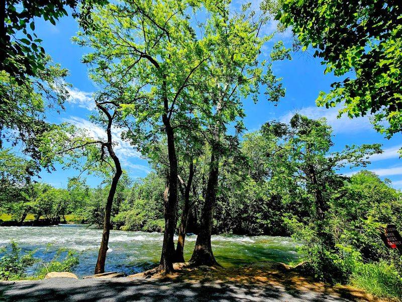 The Butterfly Garden And The Unexpected Natural Beauty Of The Park