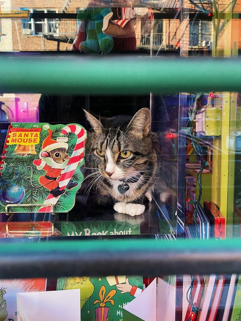 The Woman Behind The Shelves