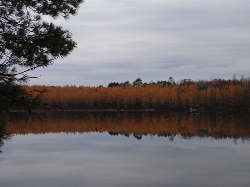 Ed's Lake National Recreation Trail (Laona)