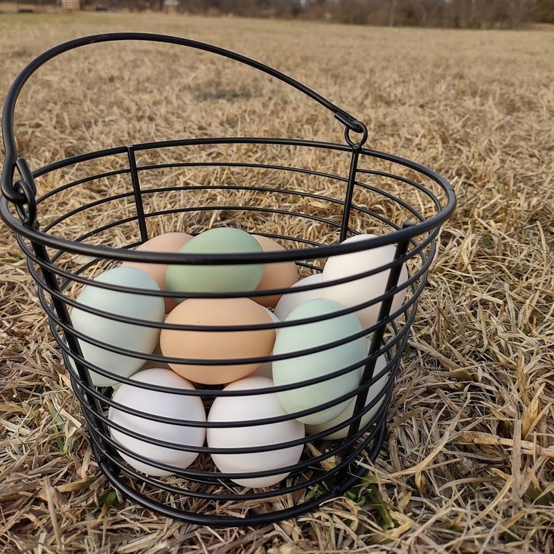 Farm Animals, Eggs, And Handmade Goods Await