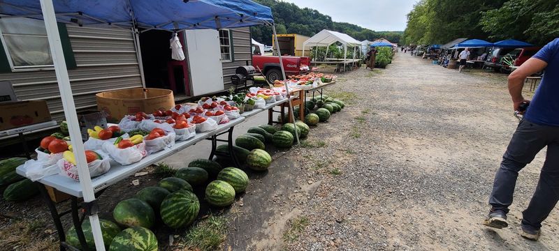 Fresh Produce And Plants From Local Growers
