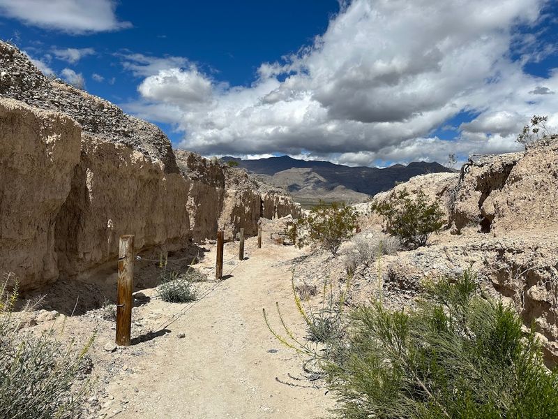 The Big Dig Trail Follows Historic Excavation Areas