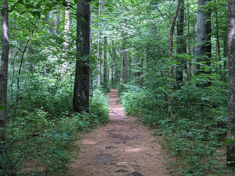 Outdoor Recreation Opportunities