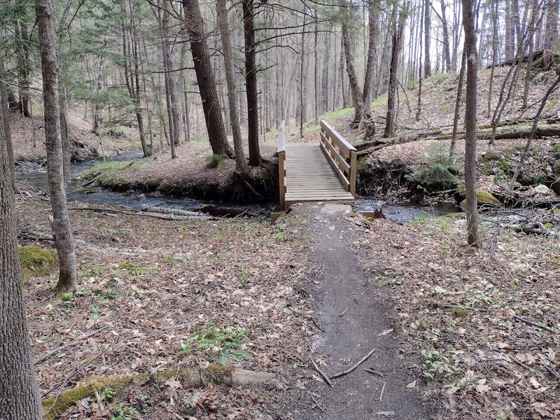 Scenic Walking Trails Showcasing Natural Beauty