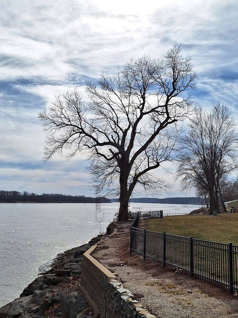 Outdoor Activities To Embrace Nature