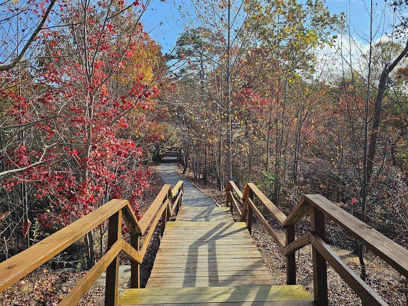 Seasonal Events And Activities To Plan Around