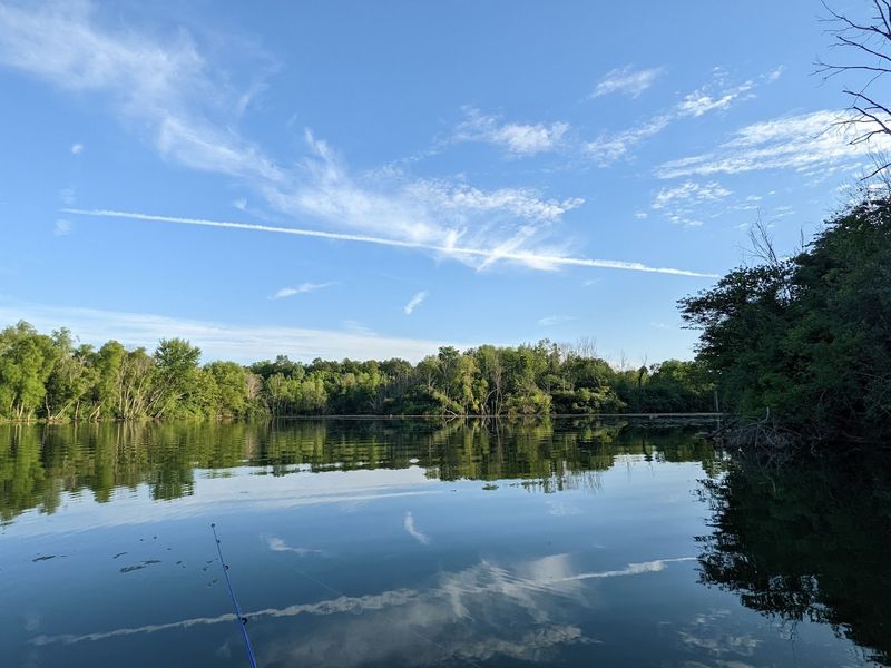Water Bodies And Their Role In Ecosystems