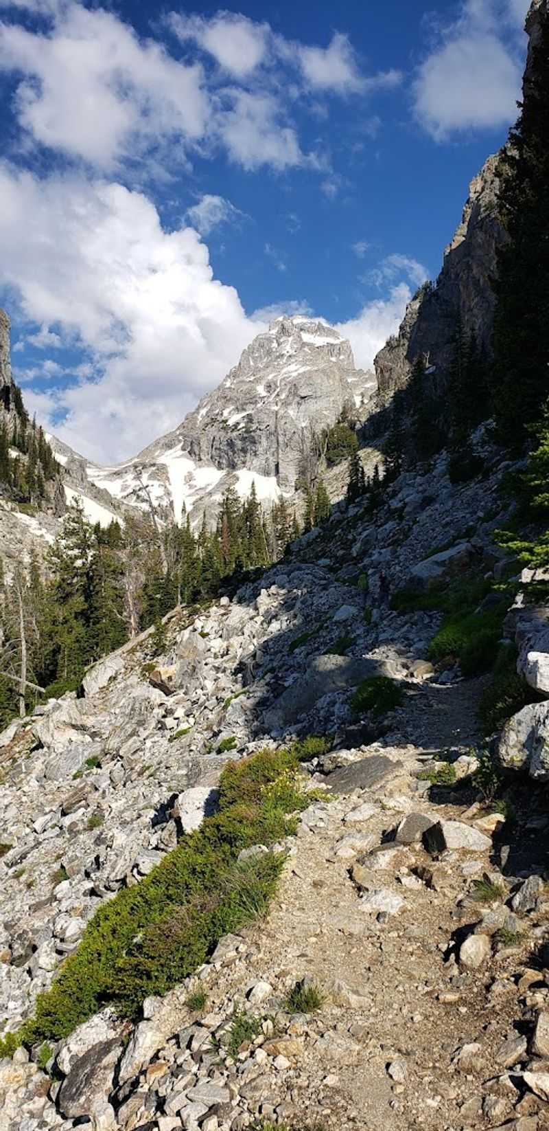 Essential Gear Recommendations For Meadow Hikers