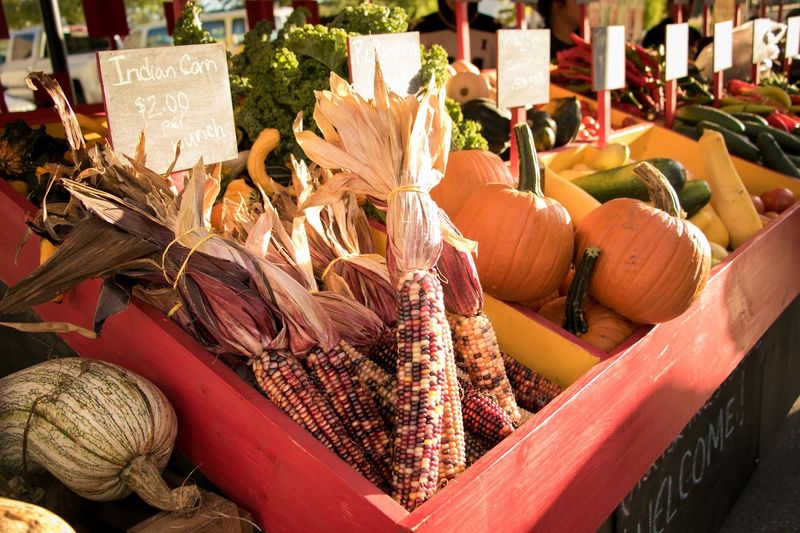 Health Benefits Of Choosing Fresh Produce