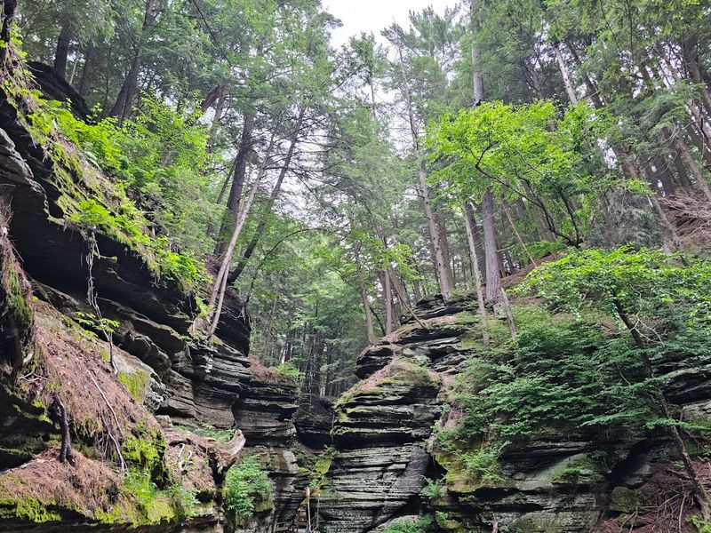 Dells Of The Wisconsin River