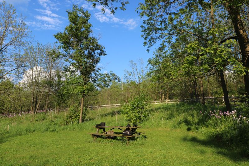 The Driftless Area Gives Mineral Point Its Scenic Setting