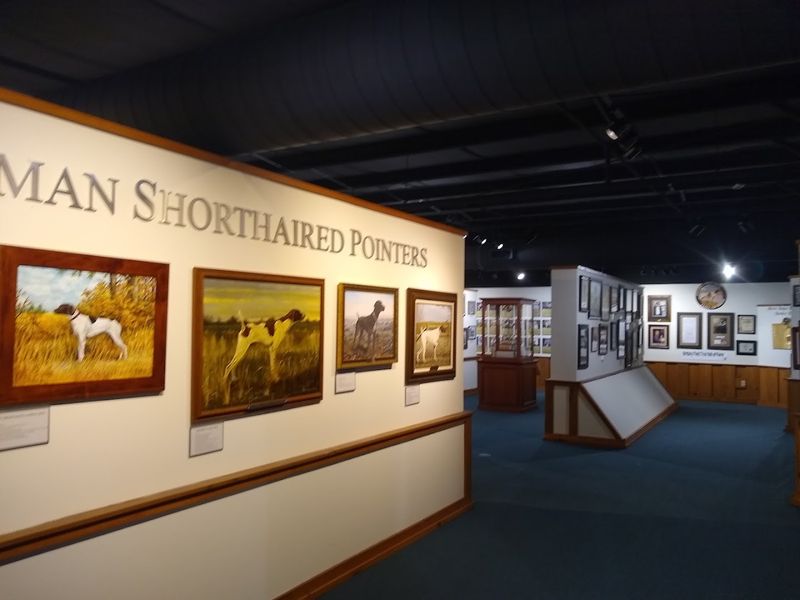 Four Halls Of Fame Under One Roof
