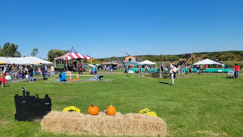 Country-Themed Fun Fills Every Corner Of The Property
