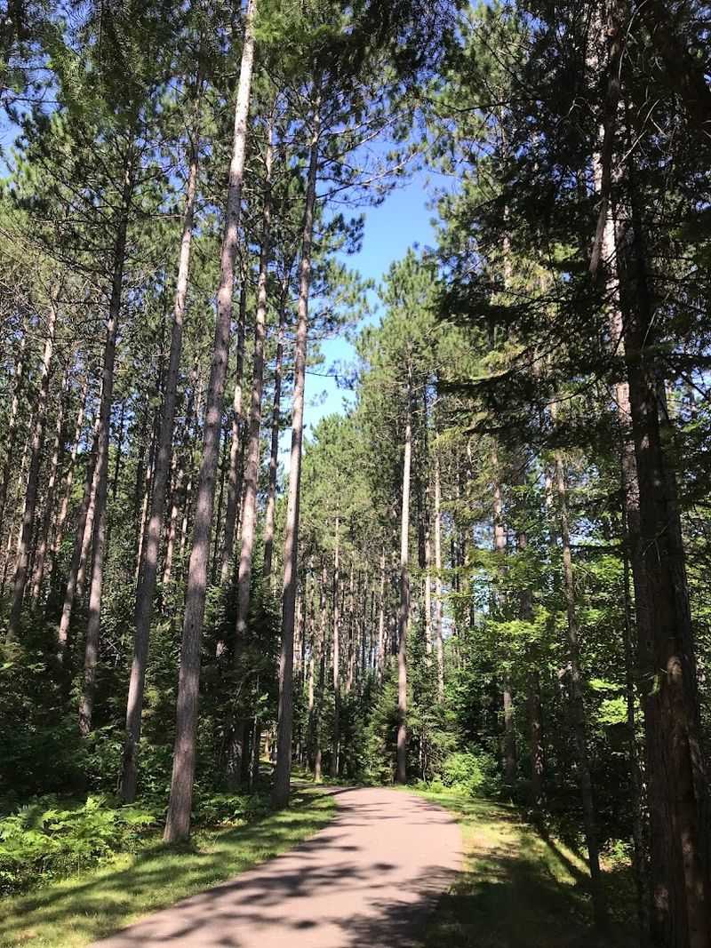 The Route Winds Through The Northern Highland-American Legion State Forest