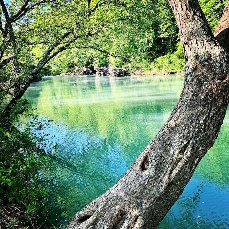 Unique Flora Surrounding The Banks