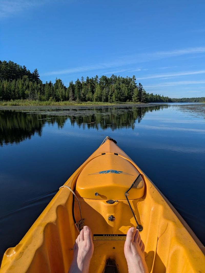 Abundant Wildlife And Birdwatching Opportunities