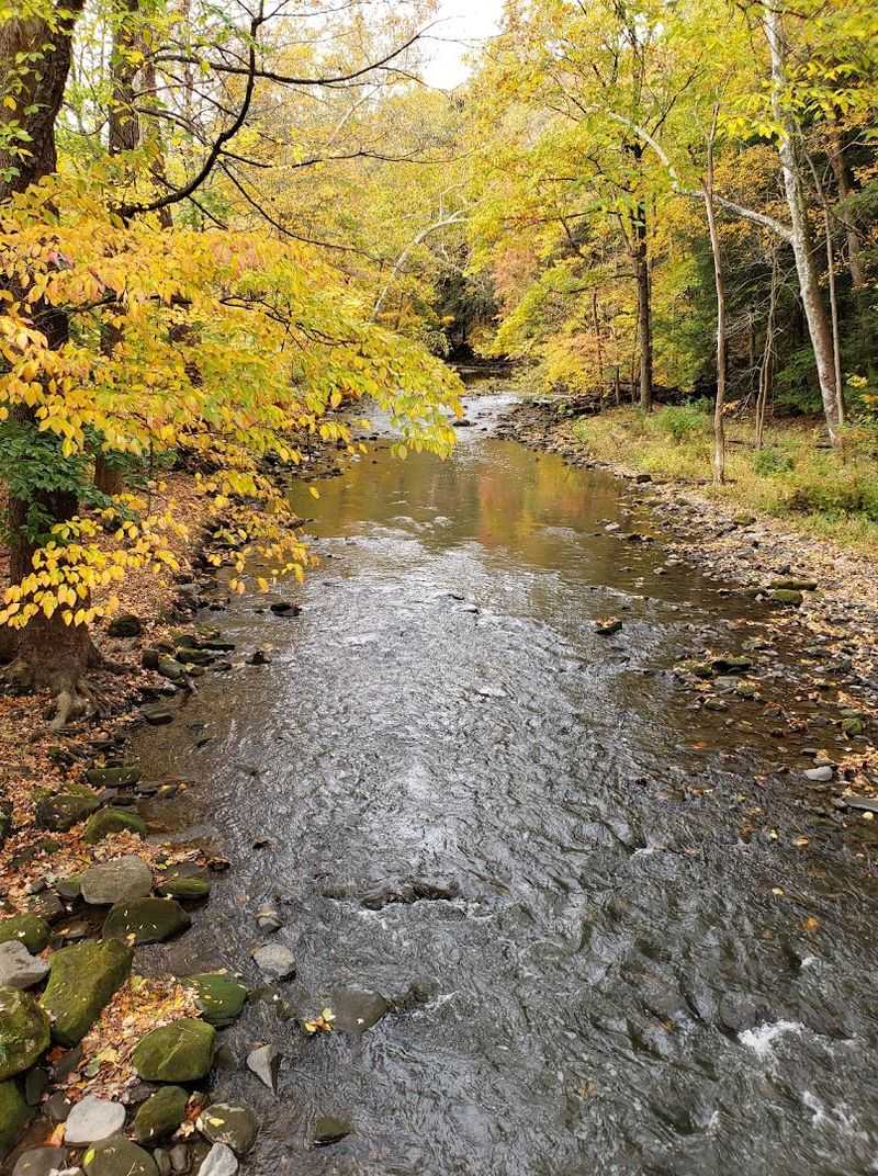 Wildlife And Plant Life In The Vicinity