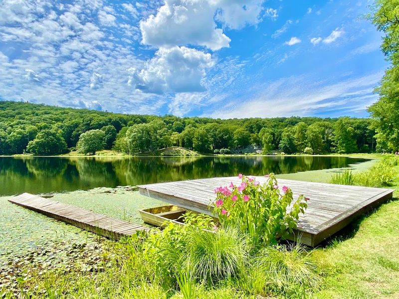 Tyrrel Lake And The Heart Of The Property