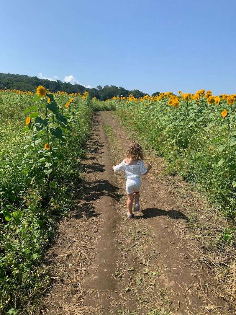 Stroller-Friendly Paths And Easy Parking For Families