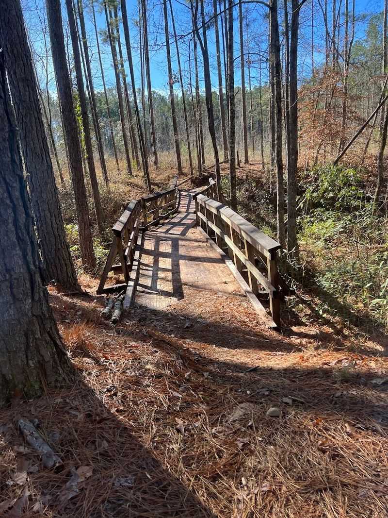 Richardson Creek Trail At Homochitto National Forest