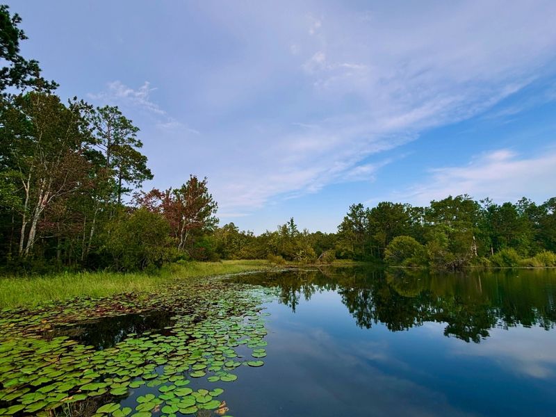 Magic River Campground