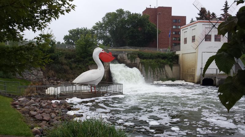 Pelican Rapids