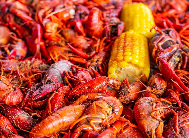 Crawdad Hole