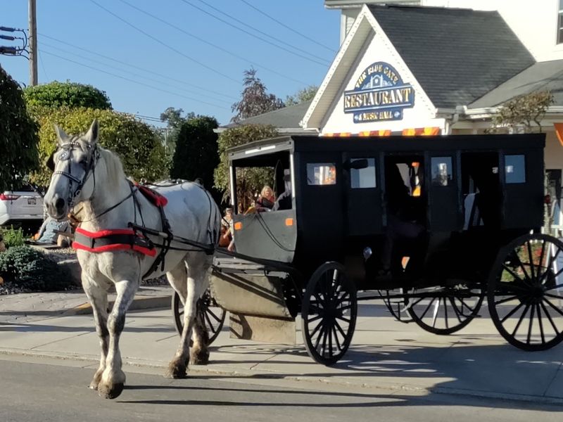 A Few Things To Know Before Visiting