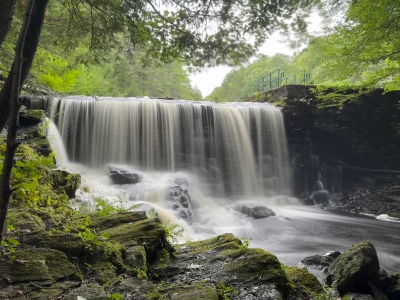 Buffam Falls Conservation Area, Pelham