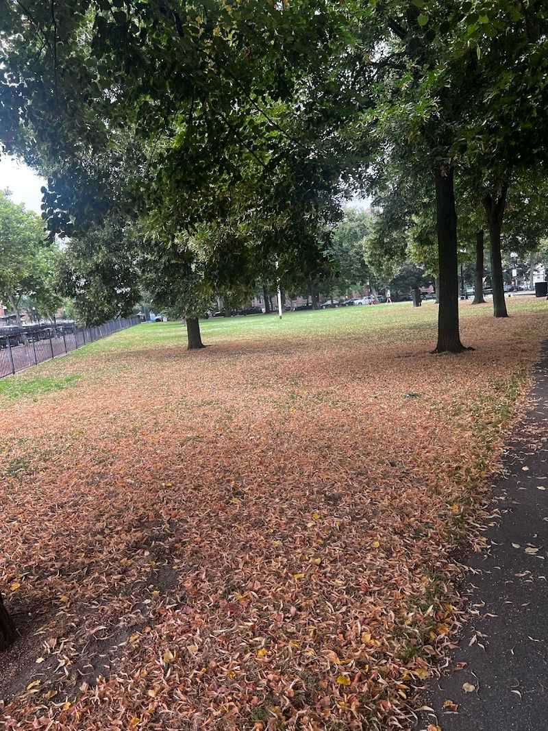 The Puerto Rican Memorial And The Stories The Park Holds