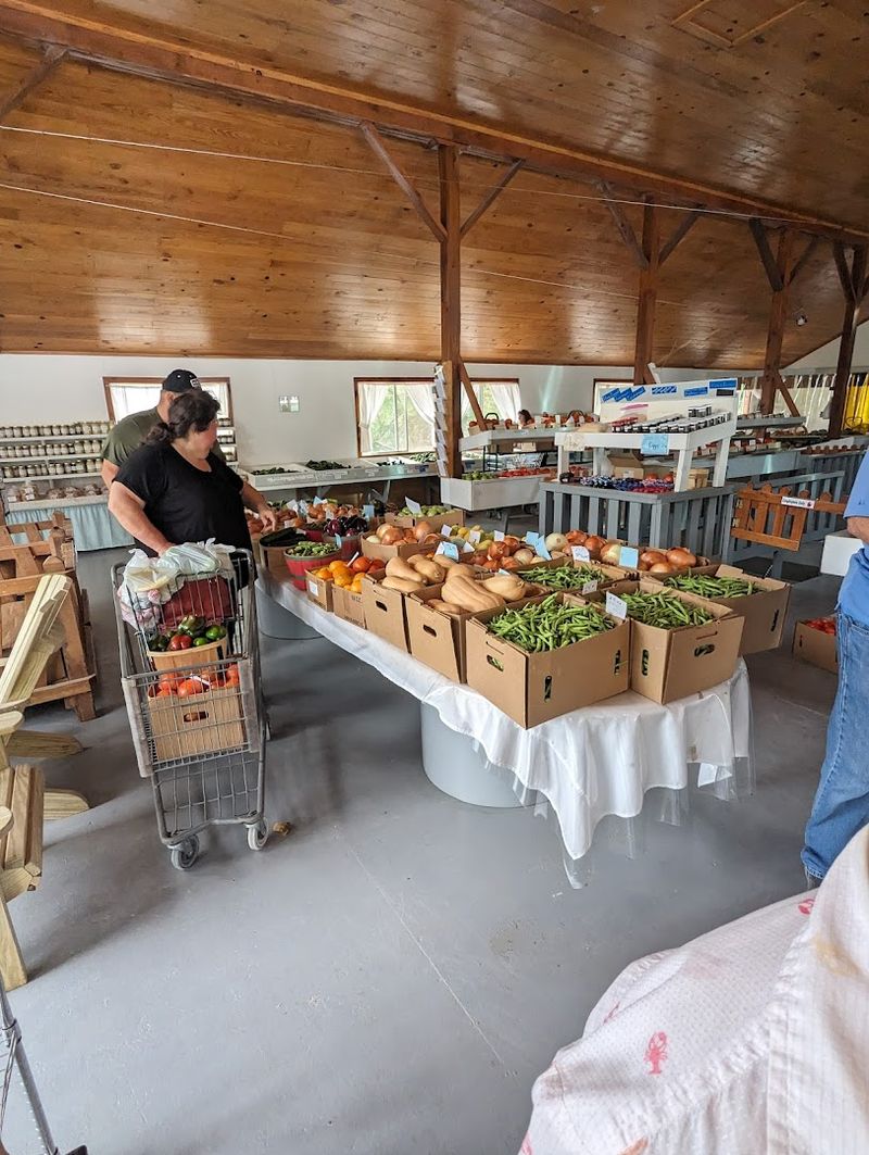 Why Regulars Keep Returning Season After Season