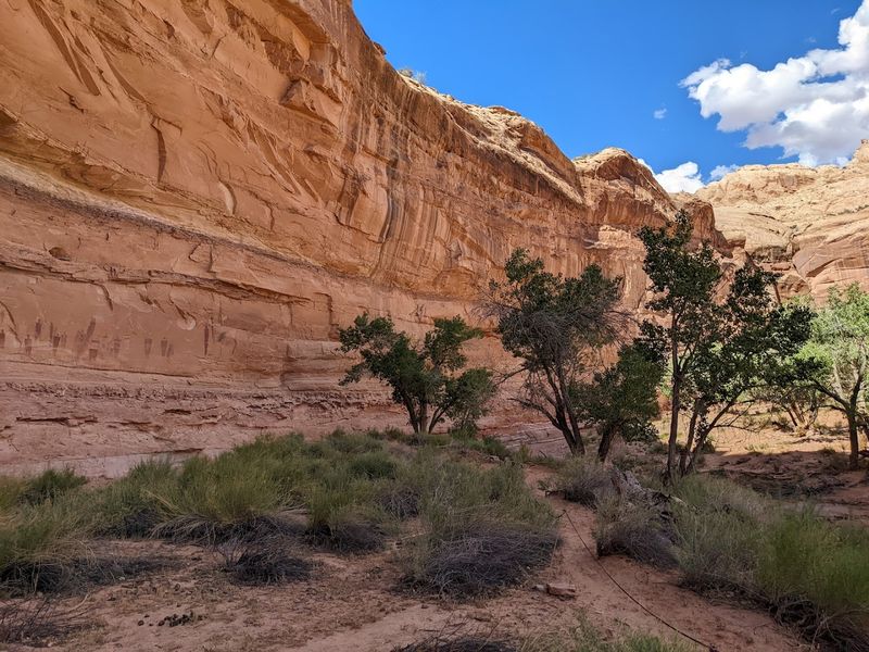 Horseshoe Canyon