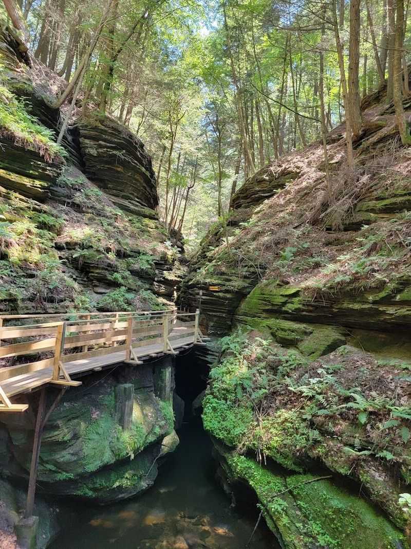 Dells Boat Tours Show Off Sandstone Cliffs