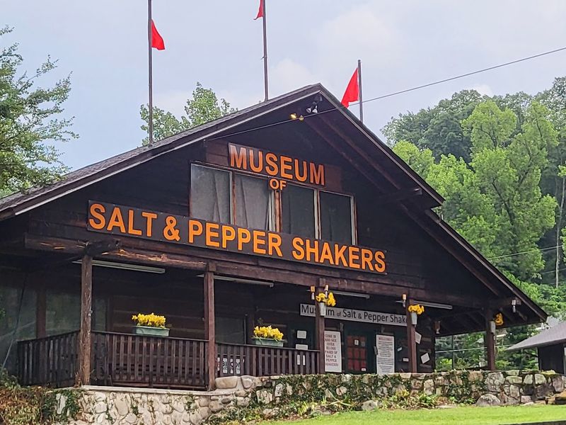 Browse Over 20,000 Salt & Pepper Shaker Sets Tt The World's Only Museum Of Its Kind