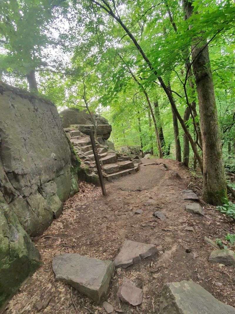 The Path Has Plenty Of Ups And Downs