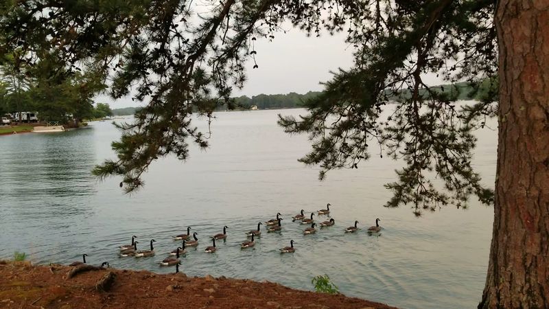 South Cove Park