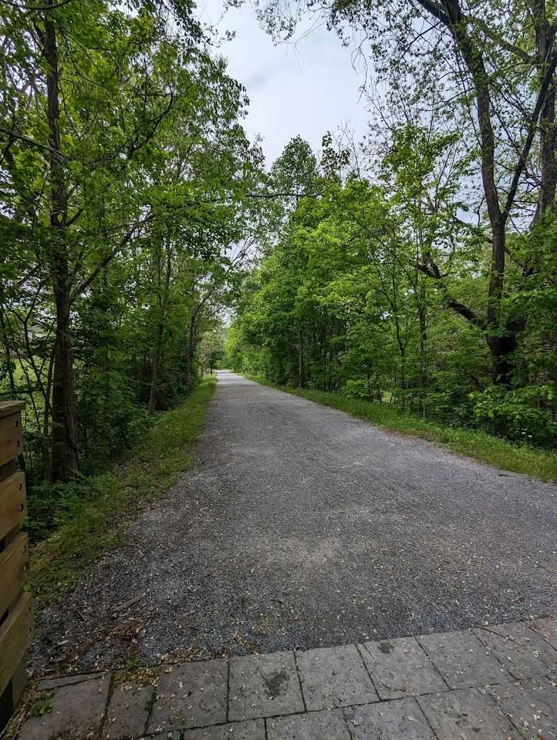 The Trail Surface And Terrain You Can Expect