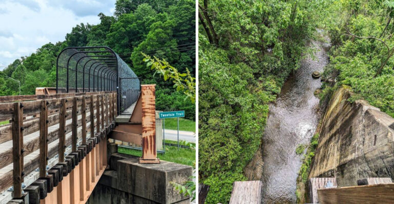 Enjoy 9.6 Miles Of Stunning Views On This Bike Pathway In Tennessee