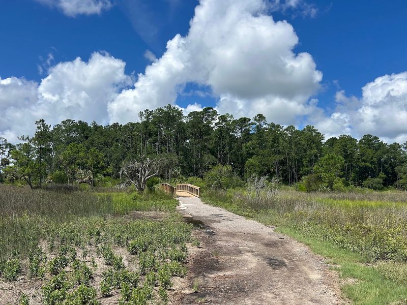 Recommended Gear For Forest And Beach Hiking