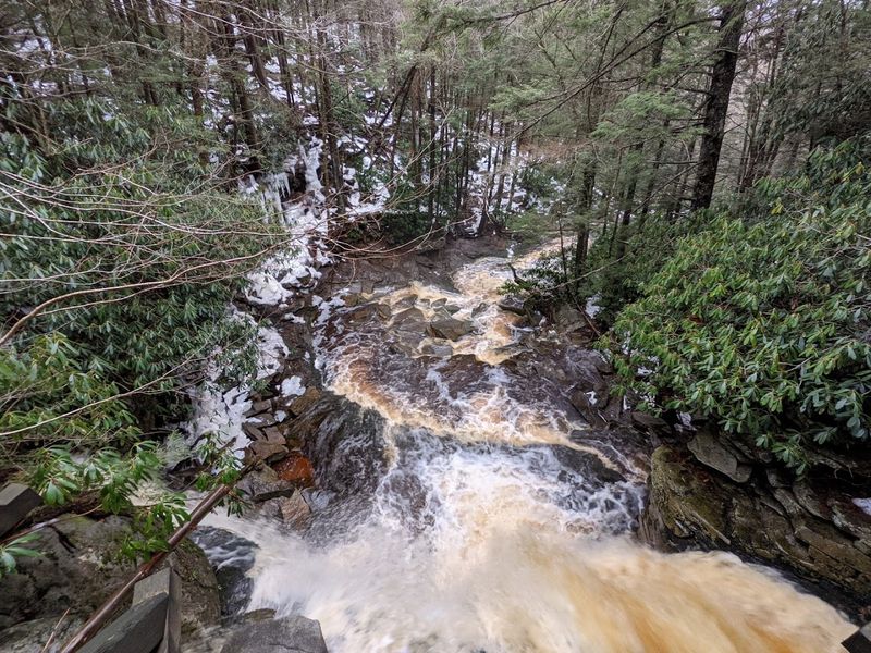 Local Conservation Efforts And Impact