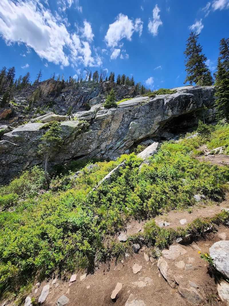 Navigating Trail Terrain And Elevation Changes