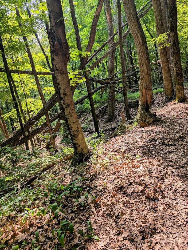 Native American History Woven Into The Grounds